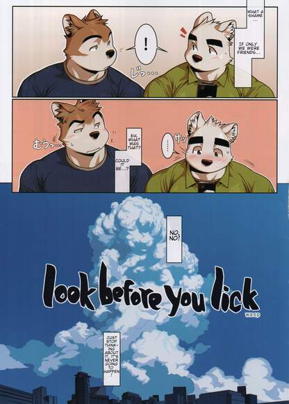 Look Before You LIck обложка